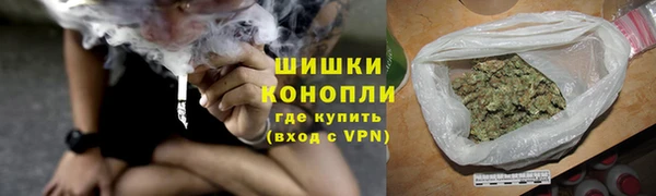 ПСИЛОЦИБИНОВЫЕ ГРИБЫ Арсеньев
