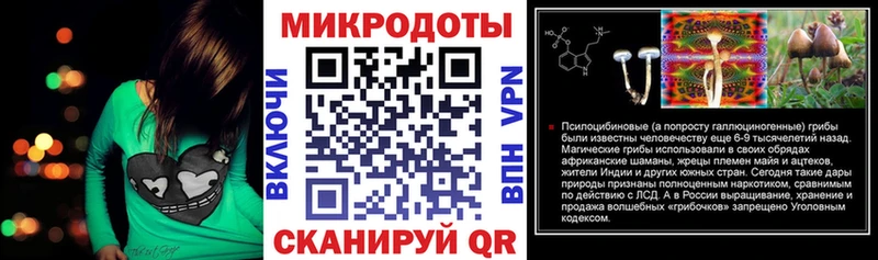 блэк спрут ссылка  закладки  Свирск  Галлюциногенные грибы Psilocybine cubensis 