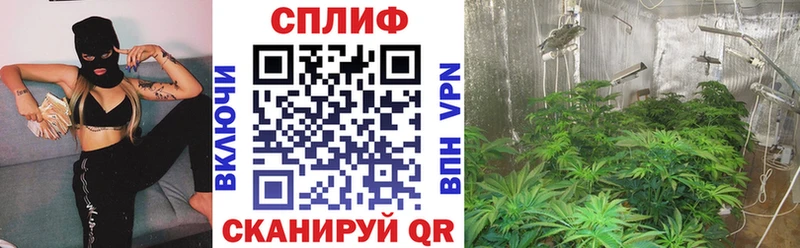 Бошки Шишки OG Kush  MEGA зеркало  Свирск 